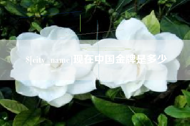 许昌现在中国金牌是多少