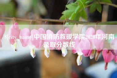 许昌中国消防救援学院2020年河南录取分数线