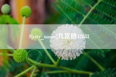 许昌九宫格42633