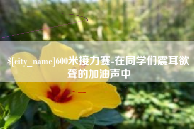 许昌600米接力赛-在同学们震耳欲聋的加油声中