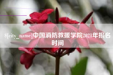 许昌中国消防救援学院2021年报名时间