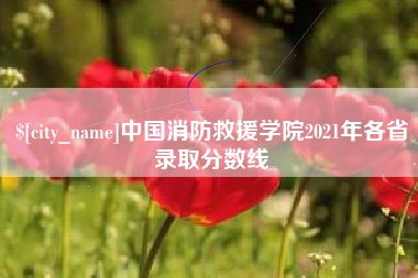 许昌中国消防救援学院2021年各省录取分数线