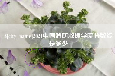 许昌2021中国消防救援学院分数线是多少