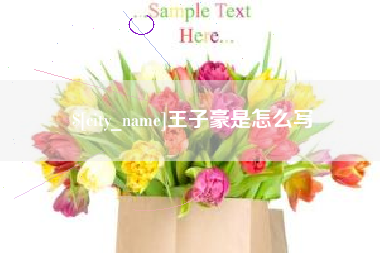 许昌王子豪是怎么写