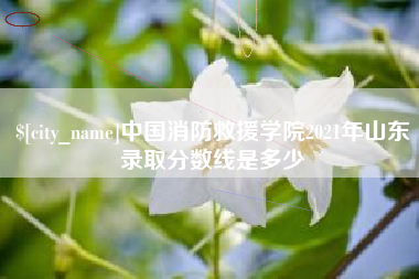 许昌中国消防救援学院2021年山东录取分数线是多少