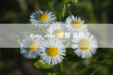 许昌成都 消防