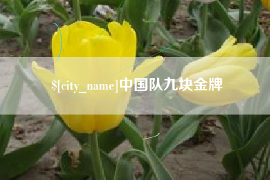 许昌中国队九块金牌