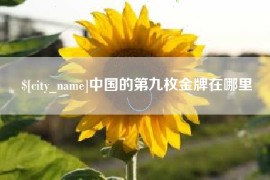 许昌中国的第九枚金牌在哪里