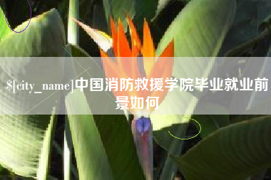 许昌中国消防救援学院毕业就业前景如何