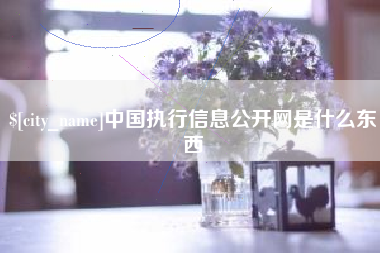 许昌中国执行信息公开网是什么东西
