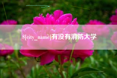 许昌有没有消防大学