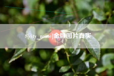 许昌金牌图片真实