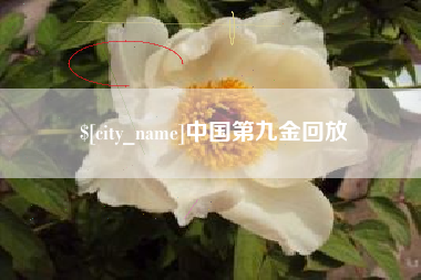 许昌中国第九金回放