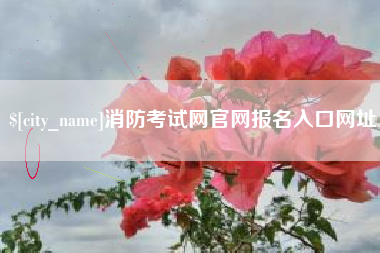 许昌消防考试网官网报名入口网址