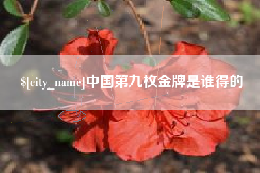 许昌中国第九枚金牌是谁得的
