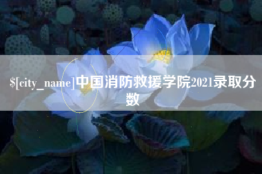 许昌中国消防救援学院2021录取分数