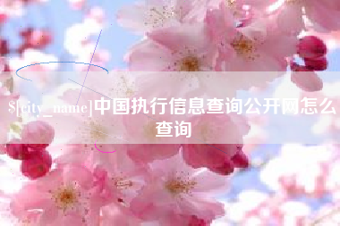 许昌中国执行信息查询公开网怎么查询