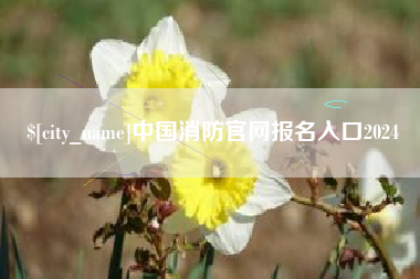 许昌中国消防官网报名入口2024