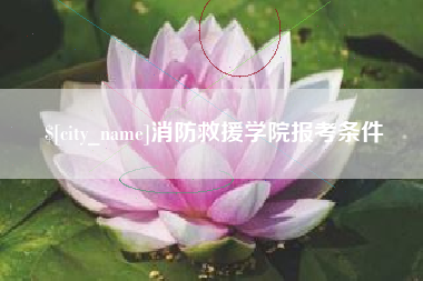 许昌消防救援学院报考条件