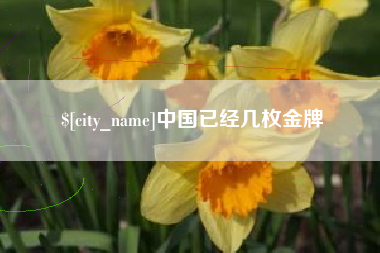 许昌中国已经几枚金牌