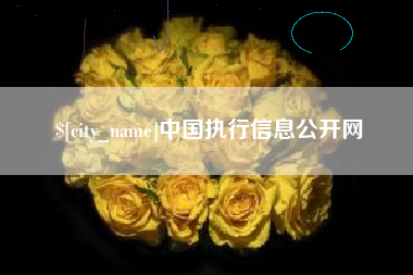 许昌中国执行信息公开网