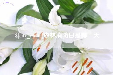 许昌森林消防日是哪一天