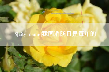 许昌我国消防日是每年的