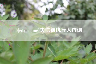 许昌失信被执行人杳询