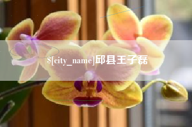 许昌邱县王子磊