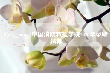 许昌中国消防救援学院2020年录取结果