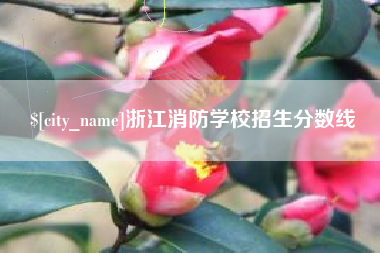 许昌浙江消防学校招生分数线