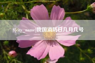 许昌我国消防日几月几号