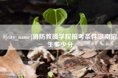 许昌消防救援学院报考条件湖南招生多少分