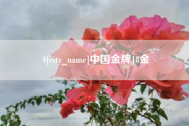许昌中国金牌18金