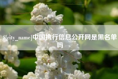 许昌中国执行信息公开网是黑名单吗