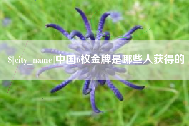许昌中国6枚金牌是哪些人获得的