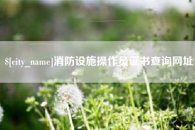 许昌消防设施操作员证书查询网址