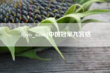 许昌中国冠军九宫格