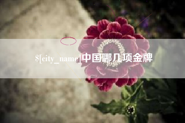 许昌中国哪几项金牌