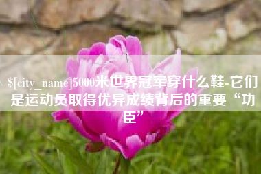 许昌5000米世界冠军穿什么鞋-它们是运动员取得优异成绩背后的重要“功臣”