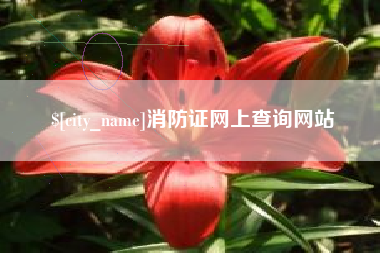 许昌消防证网上查询网站