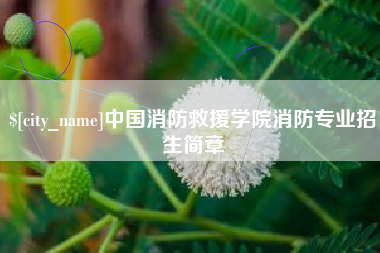 许昌中国消防救援学院消防专业招生简章