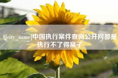 许昌中国执行案件查询公开网都是执行不了得案子