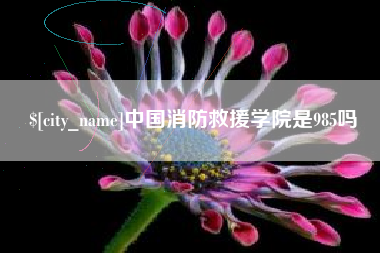 许昌中国消防救援学院是985吗