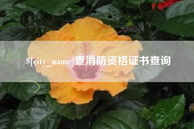 许昌查消防资格证书查询