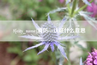 许昌消防ccc认证什么意思