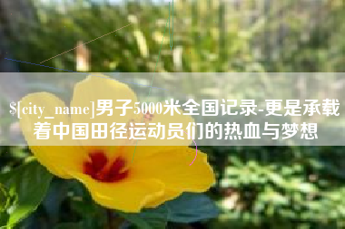许昌男子5000米全国记录-更是承载着中国田径运动员们的热血与梦想