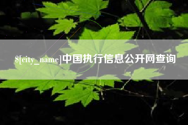 许昌中国执行信息公开网查询