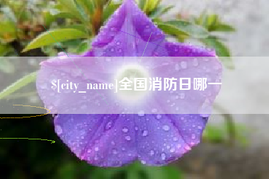 许昌全国消防日哪一
