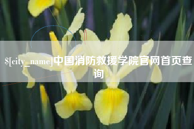 许昌中国消防救援学院官网首页查询